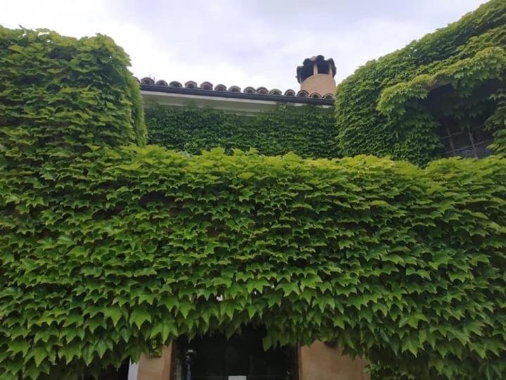 Hotel La Posada De Lalola Buera Esterno foto